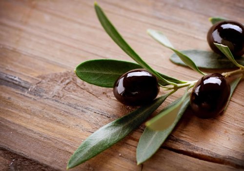 Significant Olives' Facts